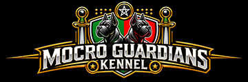 Mocro Guardians Kennel – Élevage Cane Corso et American Bully à Mohammédia